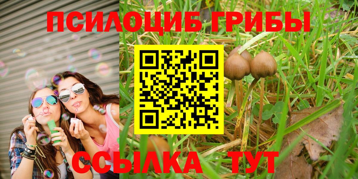 Белогорск  Галлюциногенные грибы MAGIC MUSHROOMS  Псилоцибиновые грибы мухоморы  Вход с VPN 